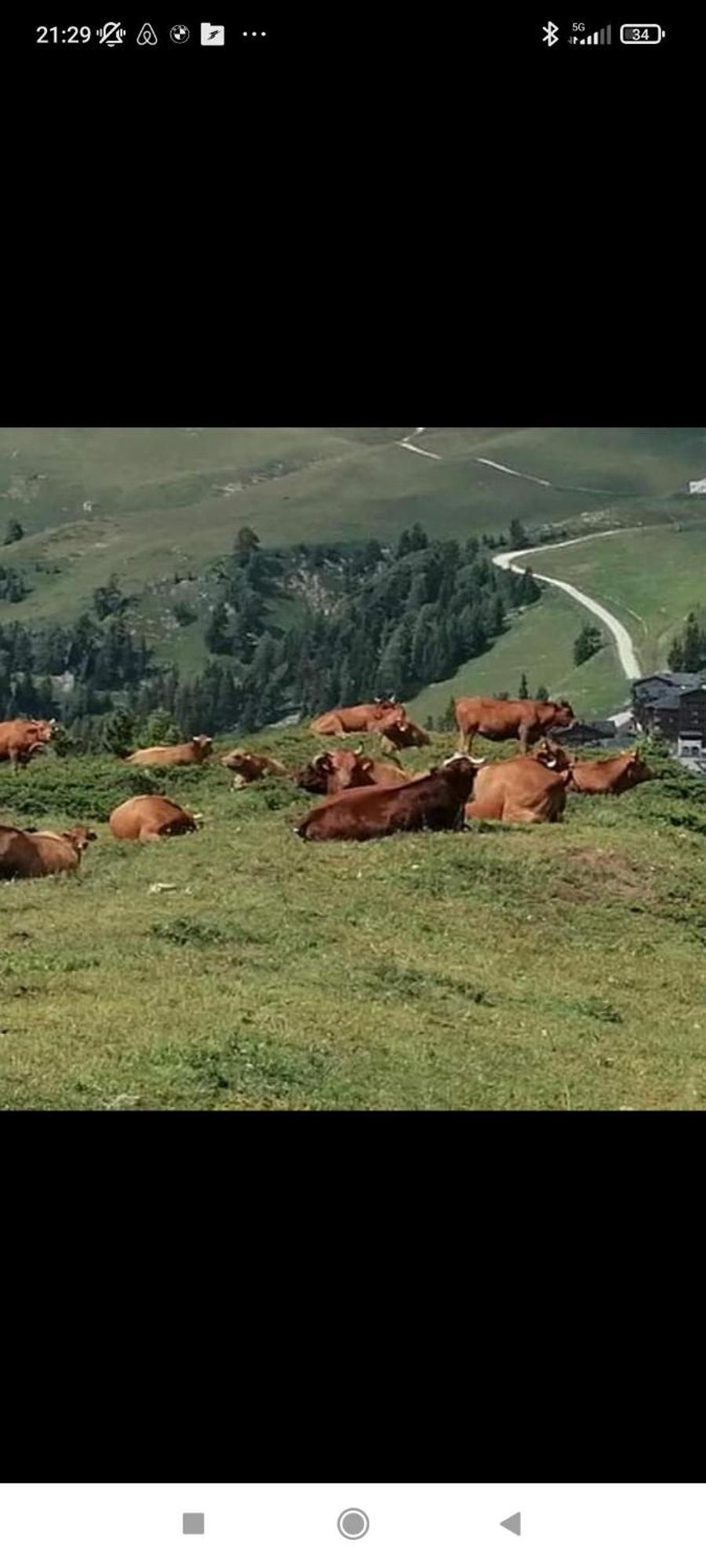 Studio Au Pied Des Pistes Avec Vue Sur La Montagne Mieussy المظهر الخارجي الصورة